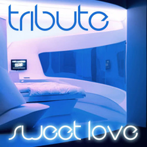ดาวน์โหลดและฟังเพลง Sweet Love (Chris Brown Cover) พร้อมเนื้อเพลงจาก Pop Tracks