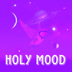 badmash wrld的专辑Holy Mood