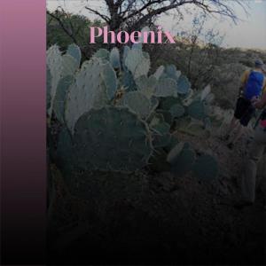 Album Phoenix from 