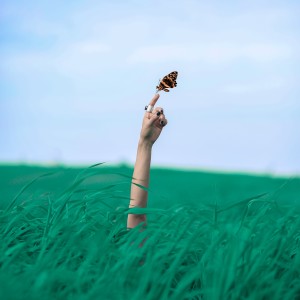 收聽טהר的מחר אני כמו חדש歌詞歌曲