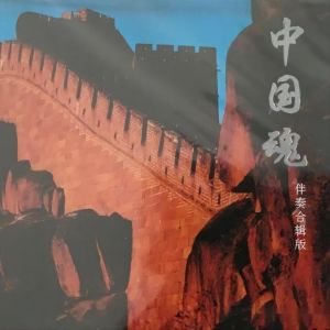 新時代藝術團室內樂隊的專輯中國魂 (伴奏合輯版)