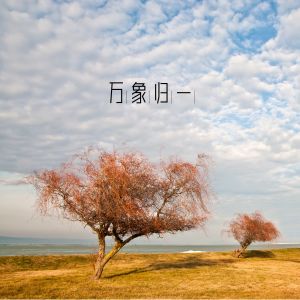 Listen to 万象归一 (扬琴) song with lyrics from 禅修音乐盒