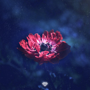 Listen to Cycle of Life song with lyrics from Zach Diamond