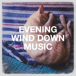 Listen to Ballad in Em song with lyrics from Vinc2