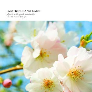 Album Cherry blossoms in the streets oleh Piano Wind
