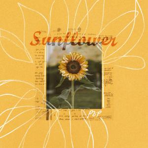 收聽Pauline Zoe Park的Sunflower歌詞歌曲