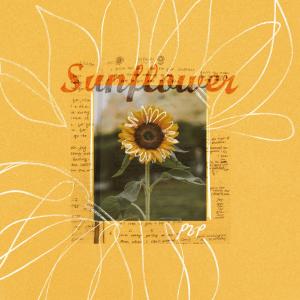 Pauline Zoe Park的專輯Sunflower