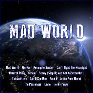 收聽Voidoid的Mad World歌詞歌曲