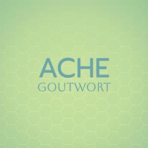 Album Ache Goutwort oleh Various