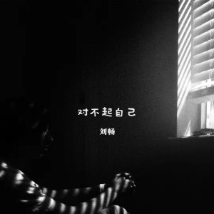 Listen to 对不起自己 song with lyrics from 刘畅