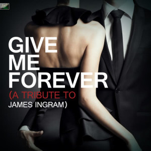 收聽Ameritz Tribute Standards的Give Me Forever (I Do)歌詞歌曲