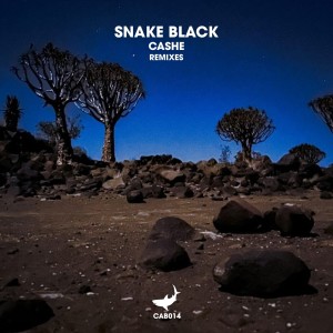อัลบัม Cashe (Remixes) ศิลปิน Snake Black
