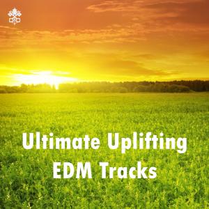 Album Ultimate Uplifting EDM Tracks from Various