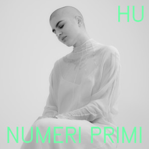 Hu的專輯Numeri primi