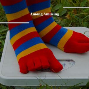 Album Among Amusing oleh Various