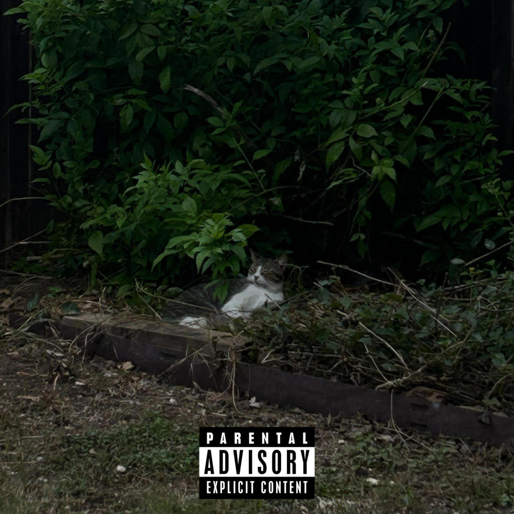 followMe (Explicit)