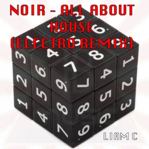 Listen to Noir - All About House (Electro Edit) song with lyrics from Liam C