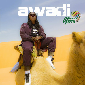 Didier Awadi的专辑Made In Africa