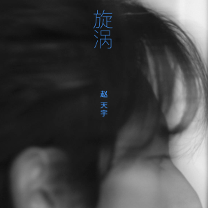 Album 旋涡 from 赵天宇
