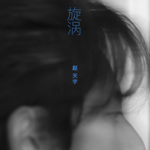 อัลบัม 旋涡 ศิลปิน 赵天宇