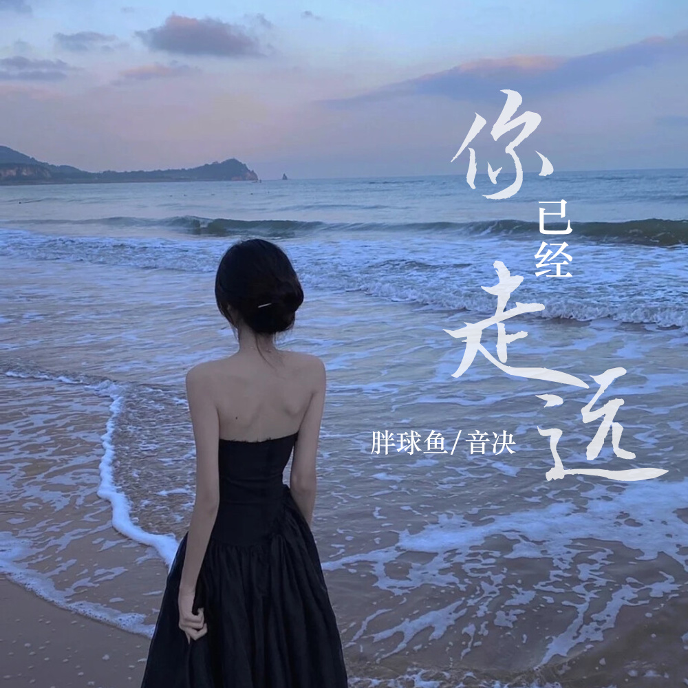 你已经走远 (DJ彭锐版)