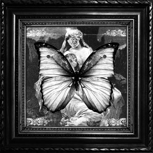Listen to kinmokusei (feat. Eujin KAWI) song with lyrics from VITO FOCCACIO