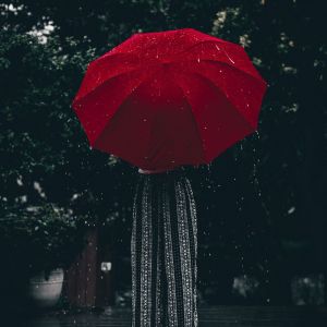 收听Sounds of Nature White Noise for Mindfulness Meditation and Relaxation的Song of the Rain歌词歌曲