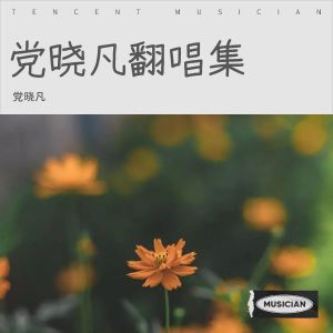 收聽黨曉凡的命運的思量 (cover: 趙少傑) (完整版)歌詞歌曲