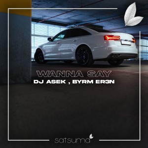 Album Wanna Say from 