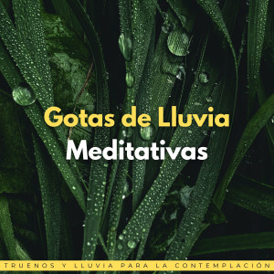 Album Gotas De Lluvia Meditativas: Truenos Y Lluvia Para La Contemplación oleh Meditaciones Espirituales
