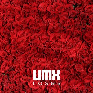 Listen to So Many Times song with lyrics from UMX