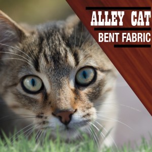 Listen to Delilah song with lyrics from Bent Fabric