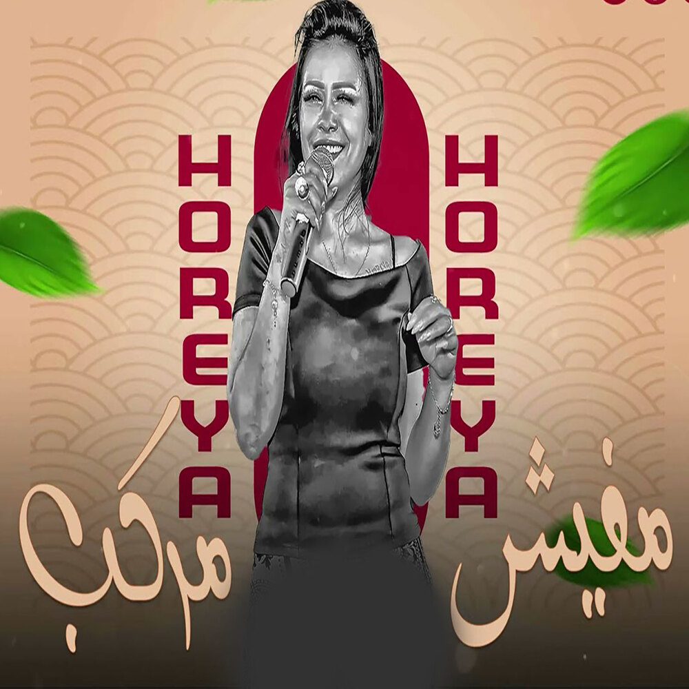 مفيش مركب