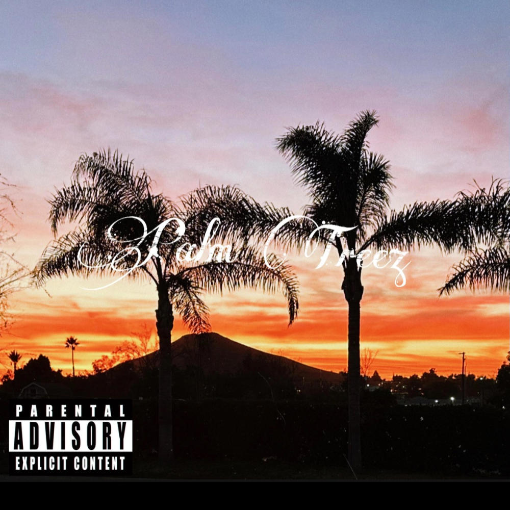 Palm Treez (feat. Chauncey Harris) (Explicit)