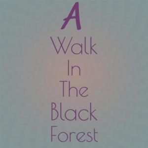 A Walk in the Black Forest dari Silvia Natiello-Spiller