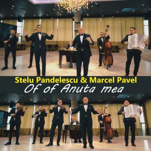 Album Of of Anuta mea from Stelu Pandelescu