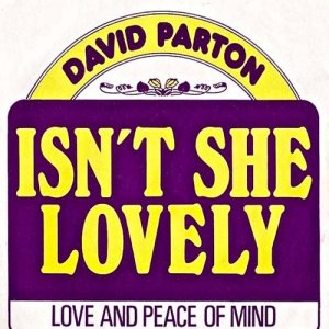 收聽David Parton的Isn't She Lovely歌詞歌曲