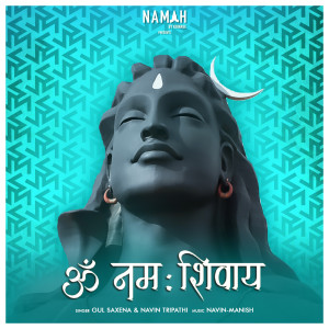 Album Om Namah Shivay from Navin Tripathi
