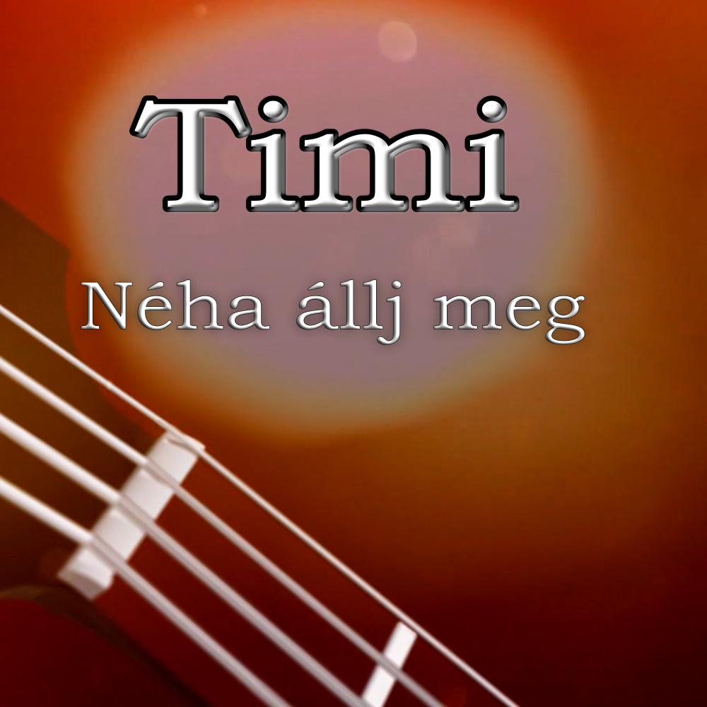 Néha állj meg