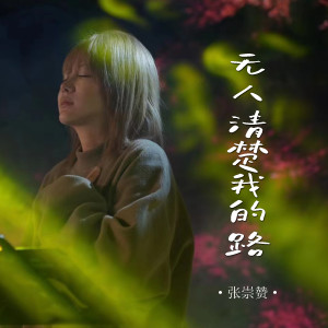 收聽張崇贊的無人清楚我的路歌詞歌曲