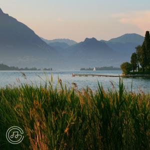 ดาวน์โหลดและฟังเพลง idyllic พร้อมเนื้อเพลงจาก dariusrwalker