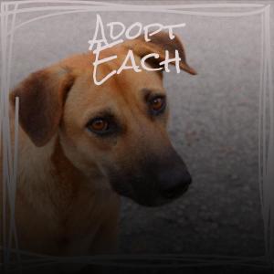 Album Adopt Each oleh Various