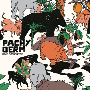 David Gordon Trio的專輯Pachyderm