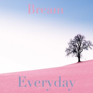 Album Everyday from Bream