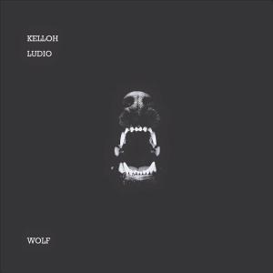 Listen to Wolf song with lyrics from Kelloh