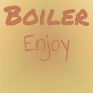 Various的专辑Boiler Enjoy