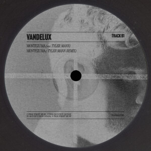 ดาวน์โหลดและฟังเพลง Montezuma (Tyler Mann Remix) พร้อมเนื้อเพลงจาก Vandelux