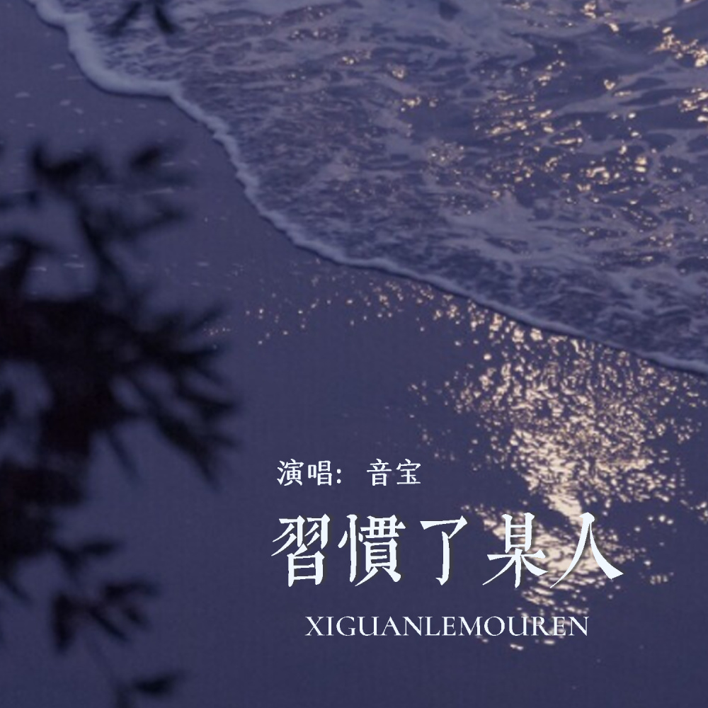 习惯了某人 (DJ默涵版伴奏)