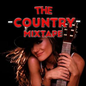ดาวน์โหลดและฟังเพลง Girls Lie Too พร้อมเนื้อเพลงจาก Country Rock Party