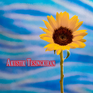 Sandi Wisnu的專輯Akustik Tesingkiran (Accoustic Version)